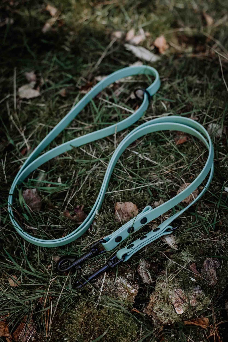 May include: A light blue dog leash with black accents and two metal clips. The leash is lying on a bed of green grass.