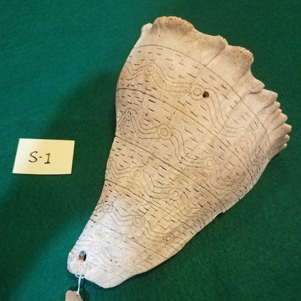 Engraved Shell - Etsy