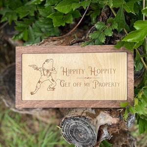 Może przedstawiać: Drewniany znak z kreskówkową żabą trzymającą pistolet i tekstem "Hippity Hoppity Get Off My Property".