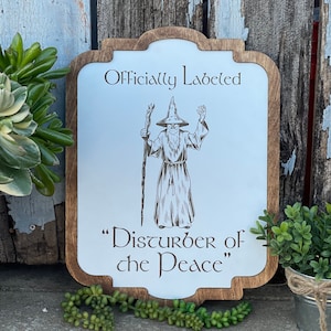 Officially Labeled &quot;Disturber of the Peace&quot; Fantasy Wizard Sign - Ring & Shire Decor