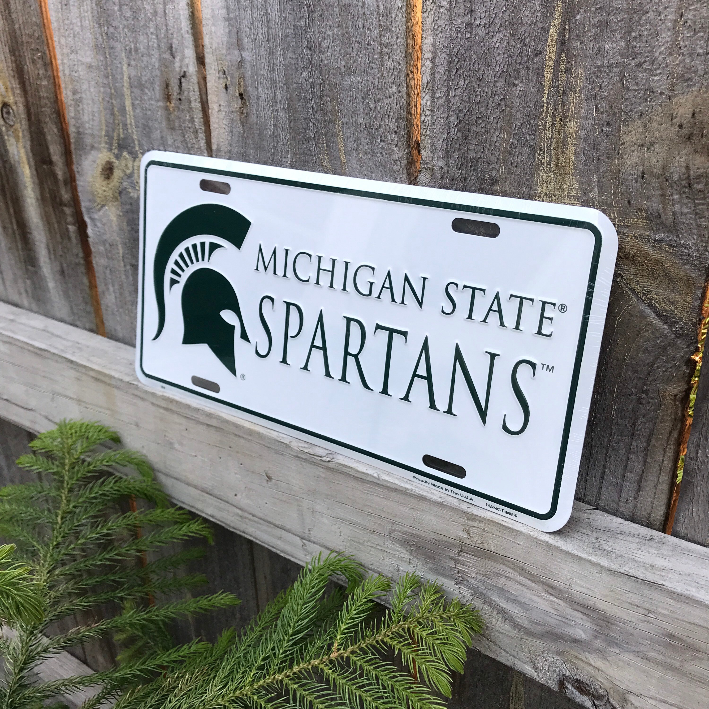Michigan State Spartans - Lowden Watercolor Decorative Serving Tray -  College Wall Art