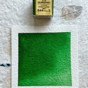 Puede incluir: Una peque&ntilde;a caja de pintura acuarela cuadrada, amarilla y negra, con el texto "REMBRANDT artists' water colour aquarelle hooker's green light 644 SERIES 3" en la etiqueta. Una lavada de acuarela verde est&aacute; pintada en un papel blanco.