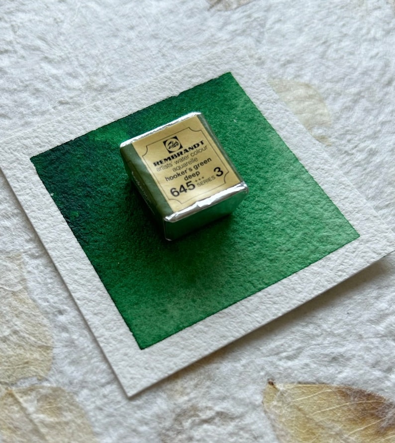 May include: A small, silver-wrapped watercolor paint pan labeled "REMBrandT artist's water colour aquarelle hooker's green deep 645 SERIES 3".