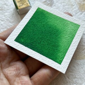 Puede incluir: Una paleta de pintura acuarela con un degradado de verde, etiquetada "Winsor & Newton Cotman Water Colour 644 Green"