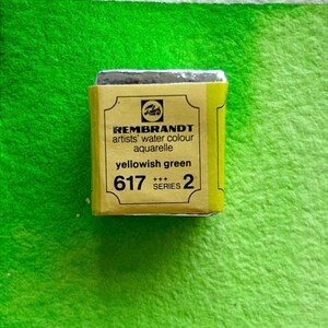 May include: A yellow watercolor paint tube with the text "REMBrandt artists' water colour aquarelle yellowish green 617 +++ SERIES 2" on the label.