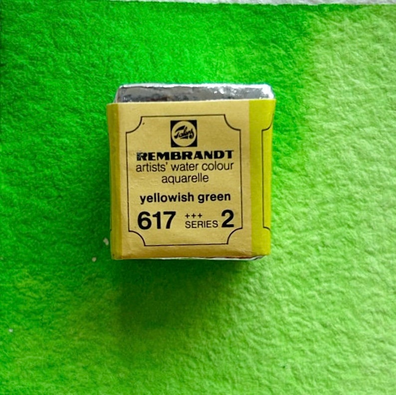 May include: A yellow watercolor paint tube with the text "REMBrandt artists' water colour aquarelle yellowish green 617 +++ SERIES 2" on the label.