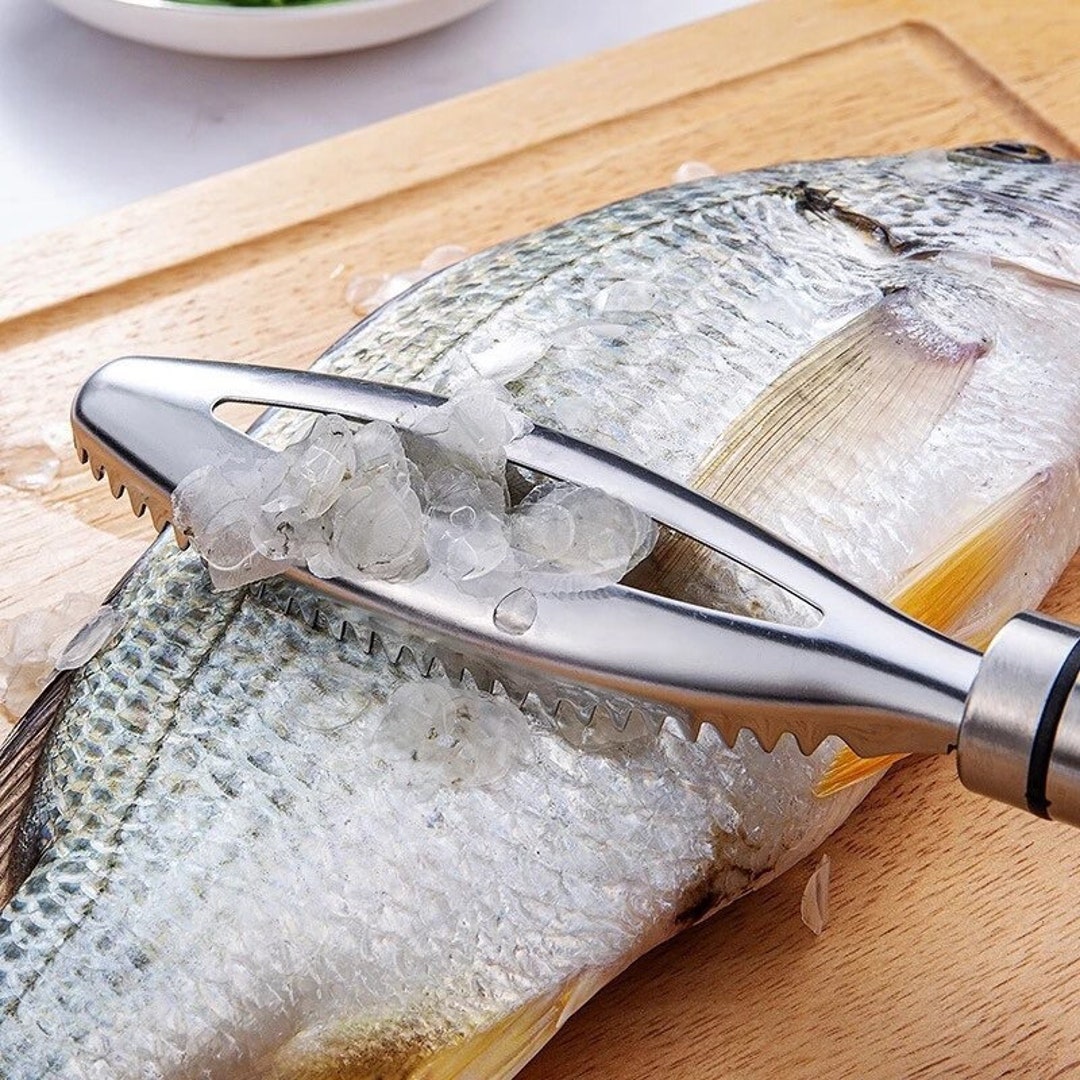 Grattoir à écailles de poisson en Acier Inoxydable 3 en 1