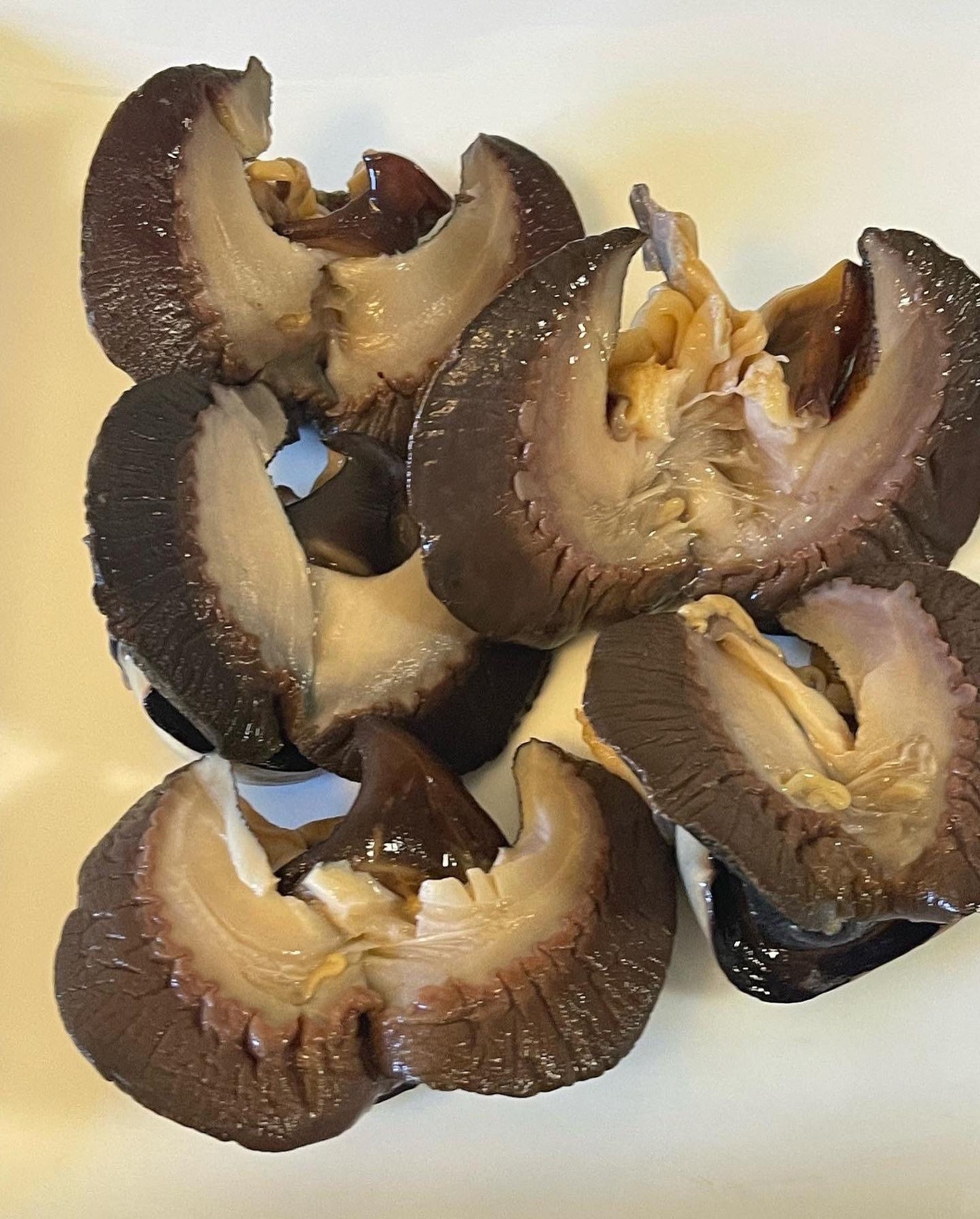 ORGANIC Snail/fresh Frozen African Fresh Etsy