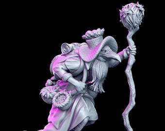 Dhrameek, Bird Druid miniature