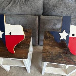 Texas-shaped hanging birdhouse featuring the Texas flag design, or the Houston Astros, Texans, or Rockets colors image 6