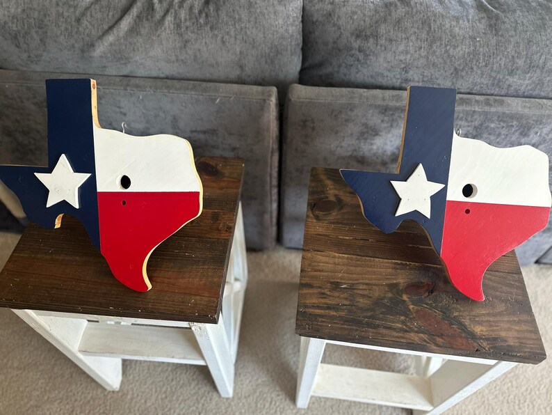 Texas-shaped hanging birdhouse featuring the Texas flag design, or the Houston Astros, Texans, or Rockets colors image 6