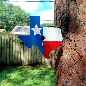 Texas Flag pained Birdhose