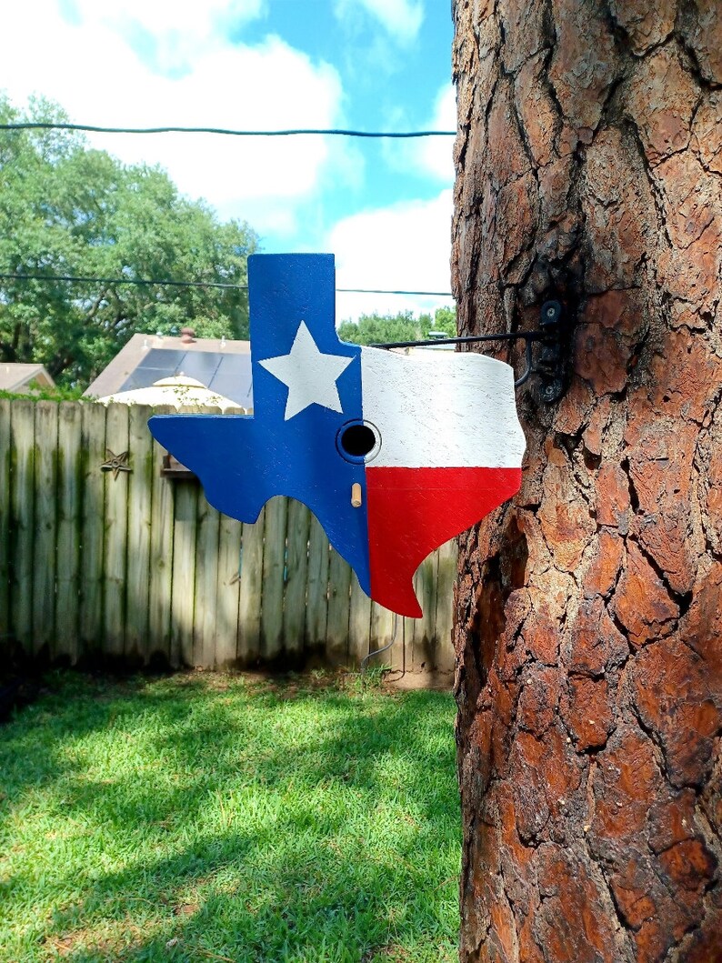 Texas Flag pained Birdhose