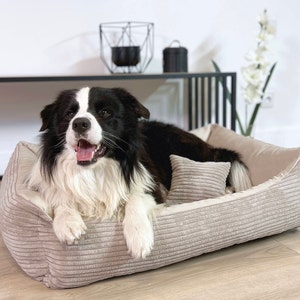 4L Textil Hundebett MOLLY abwaschbar Bezug abnehmbar Hundekörbchen für mittelgroße und Grosse Hunde Hundekorb Hundesofa Beige Bild 1