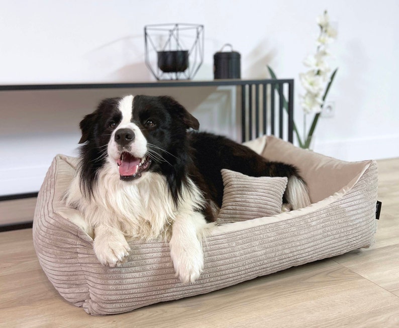 4L textile dog bed MOLLY washable cover removable dog basket for medium and large dogs dog basket dog sofa beige image 1