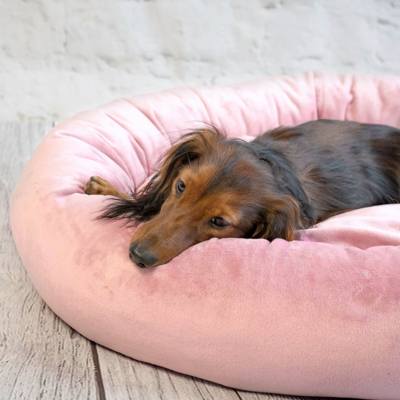 4L textile Buzzy doux lit pour chien petits chiens canapé pour petits chiens panier pour chien lit pour chat lavable coussin pour chat moelleux rose image 4