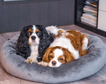 4L Textil Buzzy weiches Hundebett Klein Hundesofa für kleine Hunde Hundekorb Katzen Bettchen waschbar Gemütliches Haustierbett Dunkelgrau