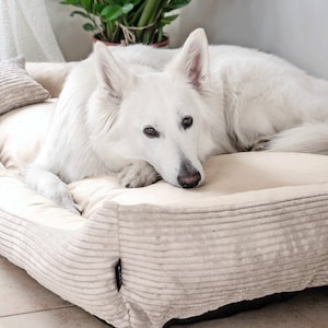 4L textile dog bed MOLLY washable cover removable dog basket for medium and large dogs dog basket dog sofa beige image 3