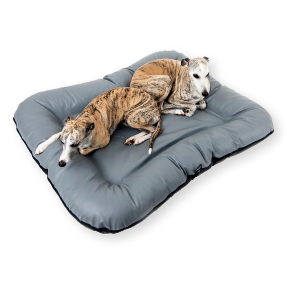 4L tessuto ELLA resistente cuccia per cani in ecopelle divano per cani  cuscino per cani XL