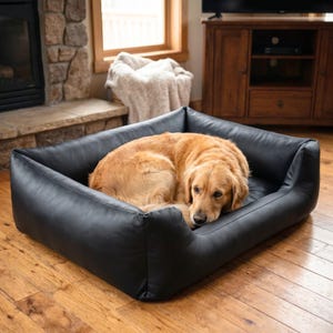 Könnte beinhalten: Ein Golden Retriever-Hund liegt in einem schwarzen, quadratischen Hundebett. Das Bett hat ein niedriges Profil mit erhöhten Seiten. Das Hundebett steht auf einem Holzboden in einem Wohnzimmer.