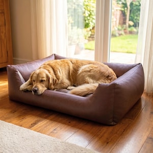 Könnte beinhalten: Ein braunes Hundebett mit einem schlafenden Golden Retriever. Das Bett hat eine rechteckige Form mit erhöhten Seiten. Der Hund liegt entspannt und bequem. Das Bett ist wahrscheinlich aus weichem Material.