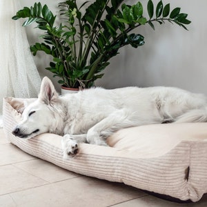 4L textile dog bed MOLLY washable cover removable dog basket for medium and large dogs dog basket dog sofa beige image 4