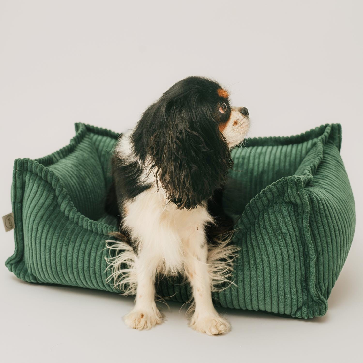 Grnes hundebett - Etsy.de