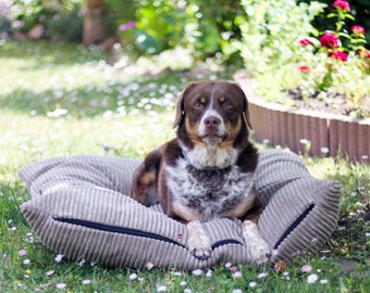 Cojín para perros de pana lavable MOLLY textil 4L Cama para perros Cojín mediano de pana para perros con funda beige