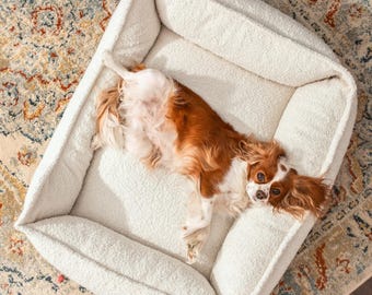 4L Textil Cozy dog bed made of bouclé LEO Premium-LINE orthopedic dog basket Dog cushion with memory foam Beige