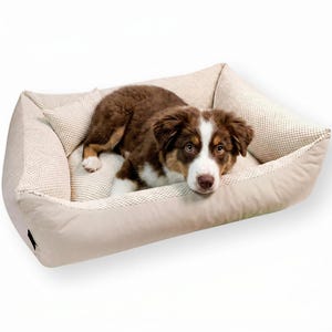 4L Textil TEO Kuscheliges Hundebett Bezug abnehmbar und waschbar Hundekorb mittelgroße Hunde Hundekissen flauschig Hundekörbchen Beige