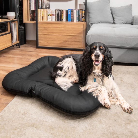 aperol hundespielzeug Dogs, Friends & Aperol – dogs&friends