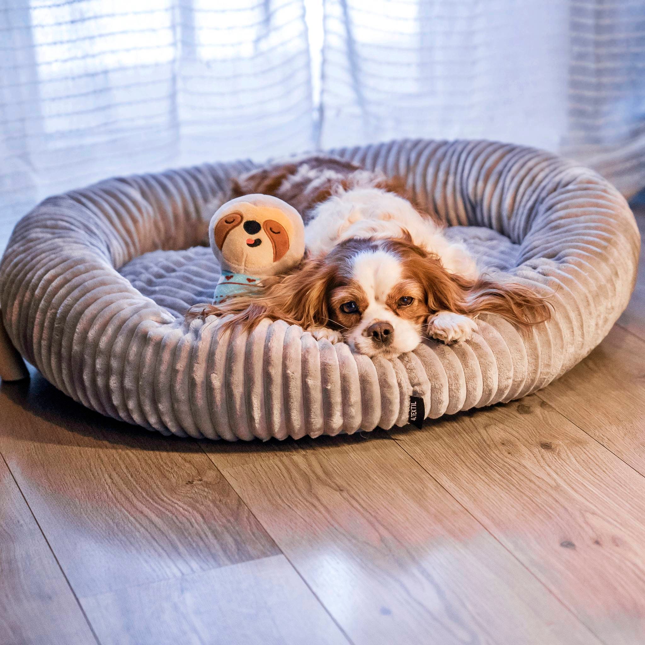 4L Textil LUNA Cuddly dog bed small dogs cat bed fluffy dog basket plush cat basket dog basket Dark Gray