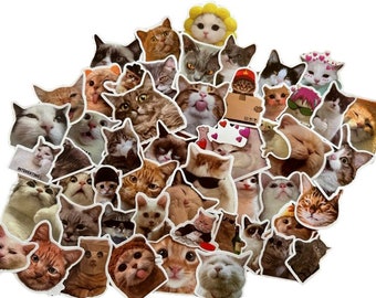 Katzen Cats Sticker Aufkleber Cute