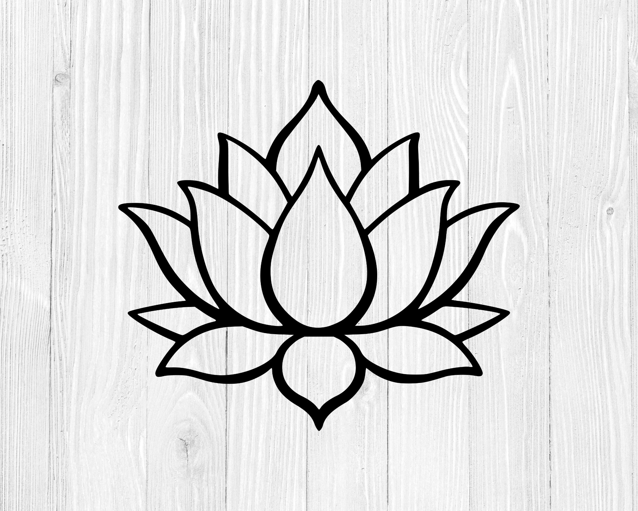 lotus flower outline drawing