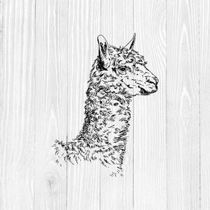 Llama Svg,  Llama Clip Art, Llama Png, Llama Christmas Svg, Vector Graphics For T-shirts, Cricut, For Silhouette Cut Files, Dxf, Eps, Png