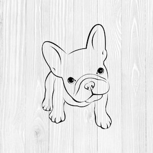 Cute French Bulldog SVG, French Bull Dog, Frenchie SVG, gráficos vetoriais para laptops Tumblers Windows Cars Camisetas, Dxf, Eps, Png