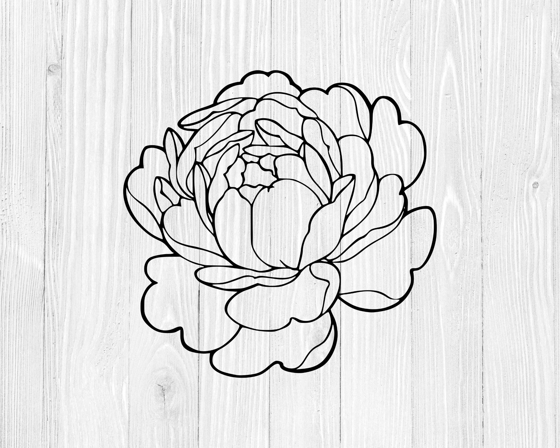 Peony Clipart Peony SVG. Easy to Use. Perfect for Your - Etsy
