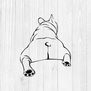 Cute French Bulldog SVG, French Bull Dog, Frenchie SVG, gráficos vetoriais para laptops Tumblers Windows Cars Camisetas, Dxf, Eps, Png