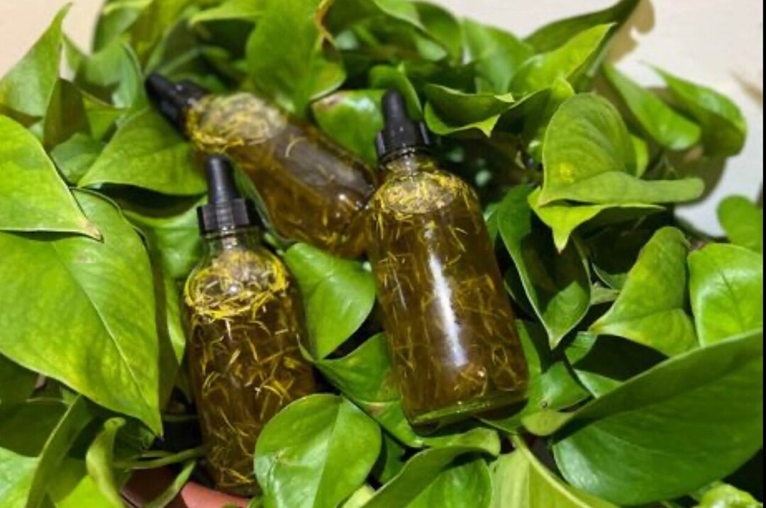 Herbal Magical Hair Regrow Oil Etsy