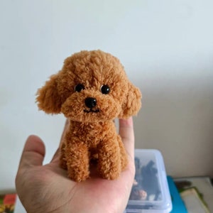Op de afbeelding: Een klein bruin pluche speelgoedpoedel met zwarte ogen. Het speelgoed zit in de palm van een hand.