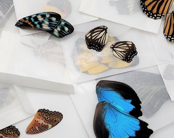 Real Butterfly Wing Pairs A1/ Real Butterfly Wings for Jewelry / Real Butterfly Wing Earrings