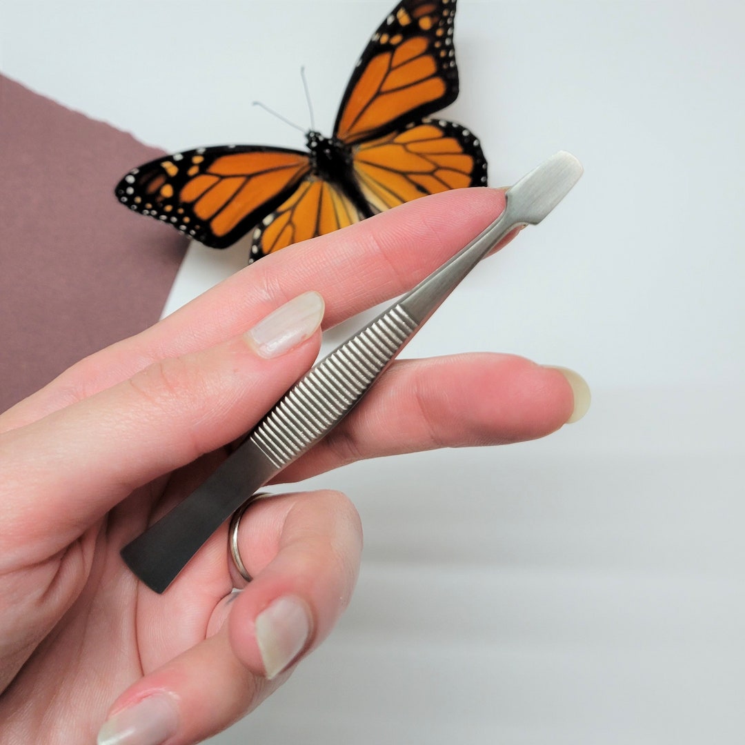 Spade Tip Entomology Forceps / Insect Pinning Forceps / Butterfly