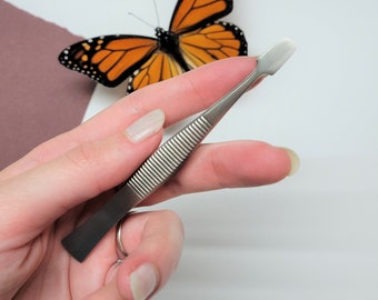 Pinzas de entomología con punta de pala / Pinzas para fijar insectos / Pinzas para fijar mariposas / Pinzas para entomología / Pinzas de mariposa