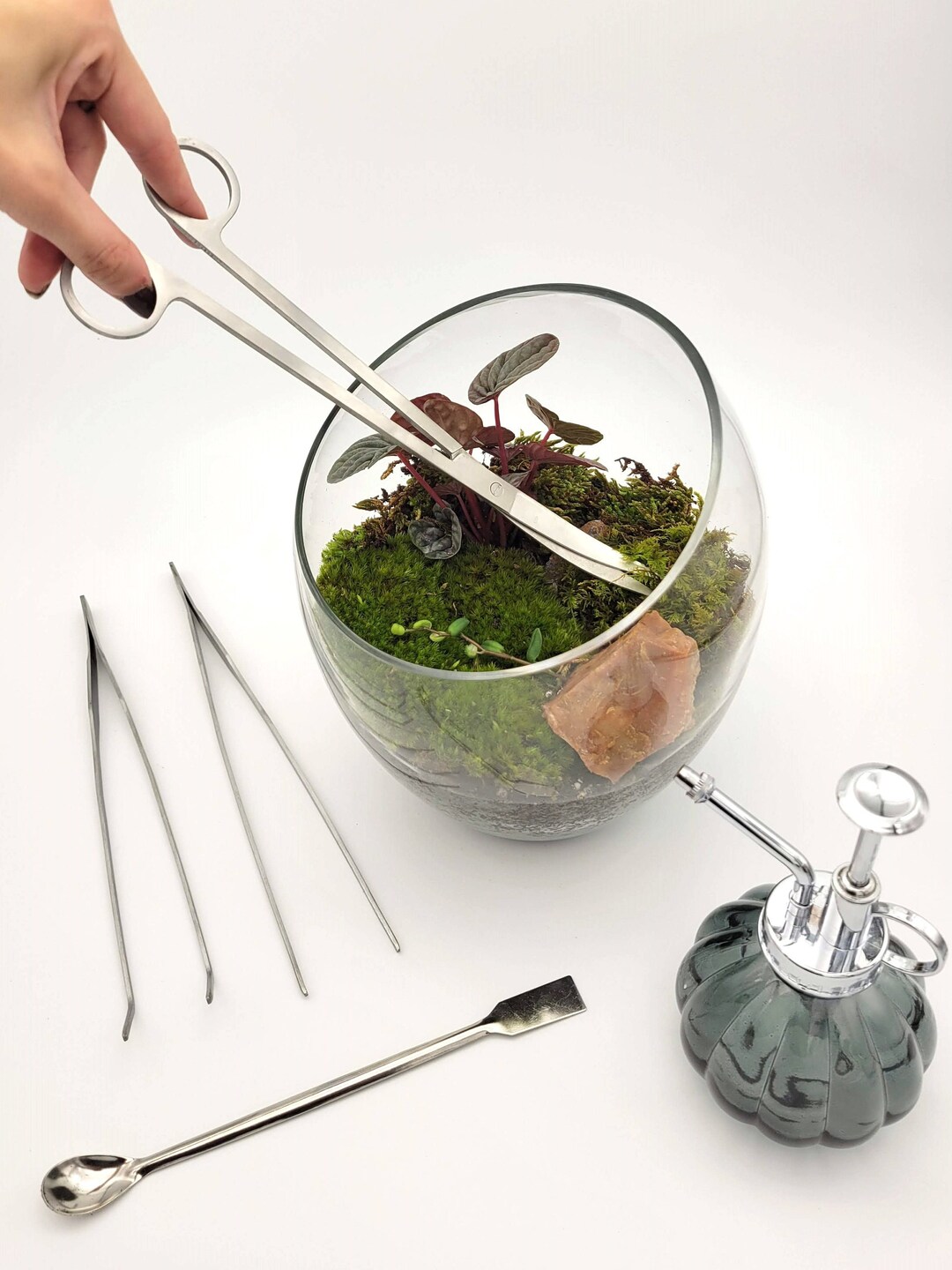 Terrarium Tool Kit / Professional Stainless Steel Terrarium Etsy