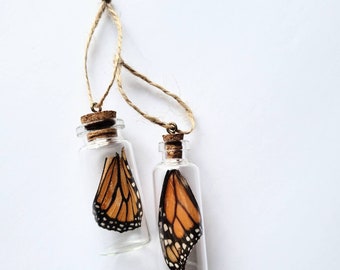 REAL Monarch Wing Ornament  / Real AMERICAN Monarch Wing / Science Ornaments