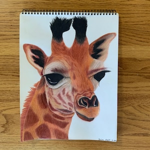 Giraffe -Colored Pencil Drawing  11 x 14 inch