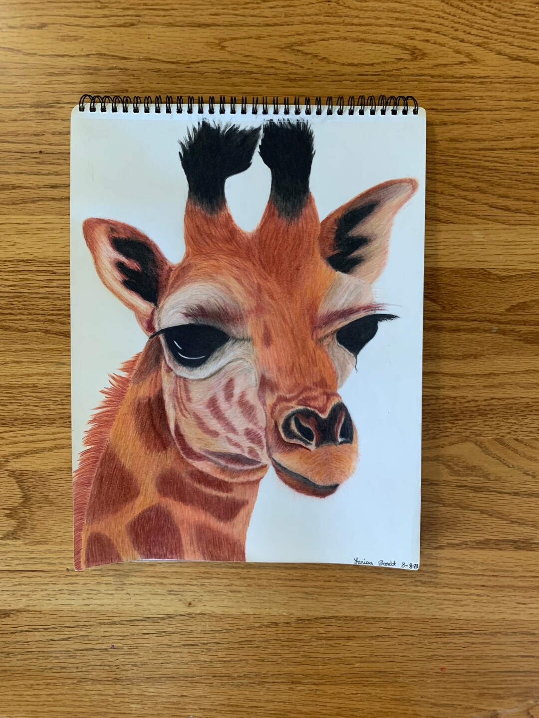 Giraffe -colored Pencil Drawing 11 X 14 Inch - Etsy