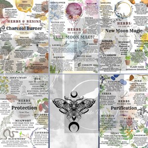 May include: A colorful chart with a black and white moon and moth illustration in the center. The chart is divided into nine sections, each with a different herb or resin and its uses in witchcraft, including protection, purification, and new moon magic. The chart includes text describing the properties of each herb or resin, as well as instructions for using them in rituals.