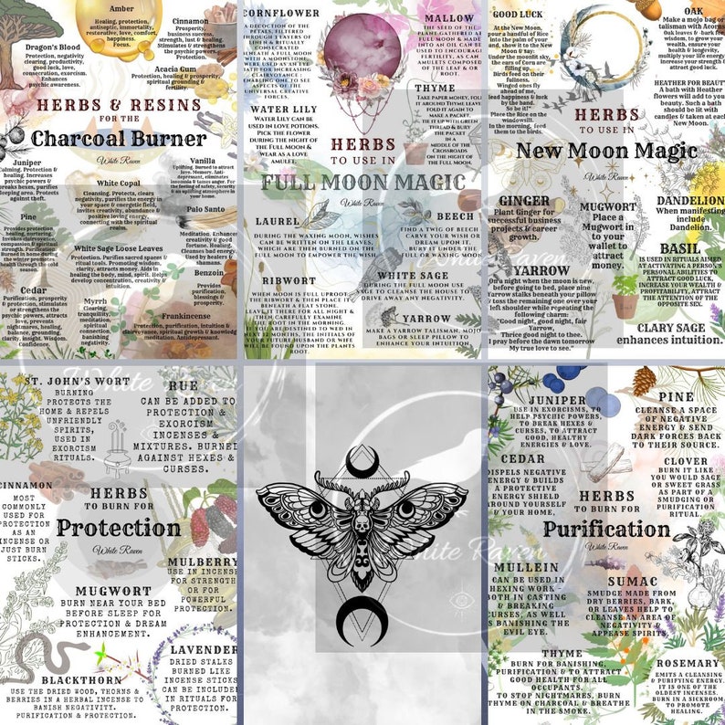 May include: A colorful chart with a black and white moon and moth illustration in the center. The chart is divided into nine sections, each with a different herb or resin and its uses in witchcraft, including protection, purification, and new moon magic. The chart includes text describing the properties of each herb or resin, as well as instructions for using them in rituals.
