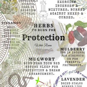 May include: A colorful illustration of herbs to burn for protection. The herbs include St. John's Wort, Rue, Cinnamon, Mugwort, Mulberry, Blackthorn, and Lavender. The text includes the name of each herb and its properties.